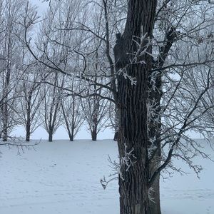 Meet your Posher, Terrie